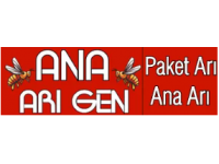 Ana Arı Gen