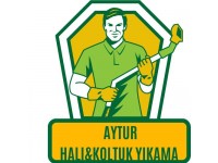 AYTUR HALI & KOLTUK YIKAMA