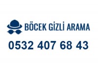 BÖCEK GİZLİ ARAMA