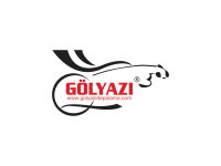 GÖLYAZI DEPOLAMA LOJİSTİK TAŞIMACILIK HİZMETLERİ