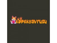 köpekyavrusu