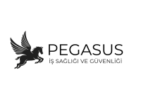 PEGASUS İŞ SAĞLIĞI VE GÜVENLİĞİ LTD. ŞTİ.