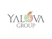 Yalova Group